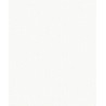 Colour icon cirrus lum 701 white