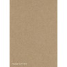 Colour icon alta uni 005 copper