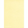 Colour icon alta uni 009 citrus