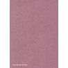 Colour icon alta uni 016 pink
