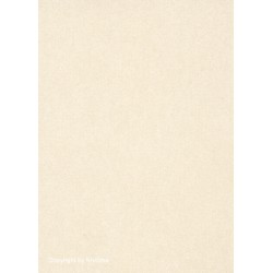 Colour icon alta uni 018 beige