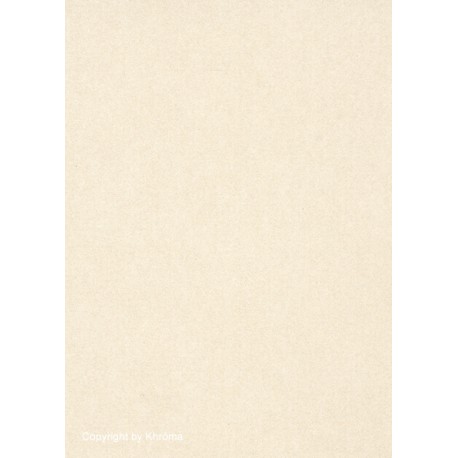 Colour icon alta uni 018 beige