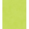 Kidzzz uni lilou dou 310 apple